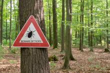 A tick warning sign in a forest.