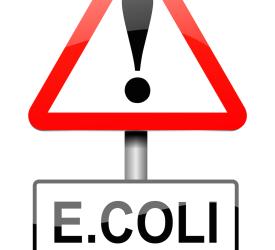 E.Coli underneath exclamation triangle sign