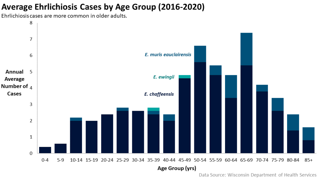 Average ehrlichiosis cases by age