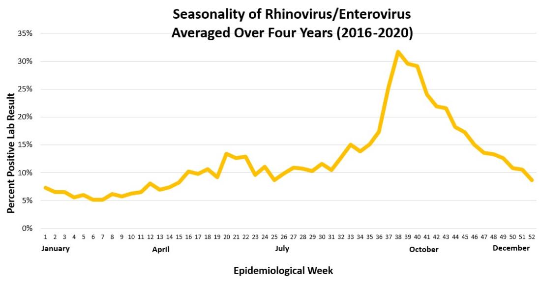 Graph showing the seasonality of Rhinovirus/Enterovirus over the last four years