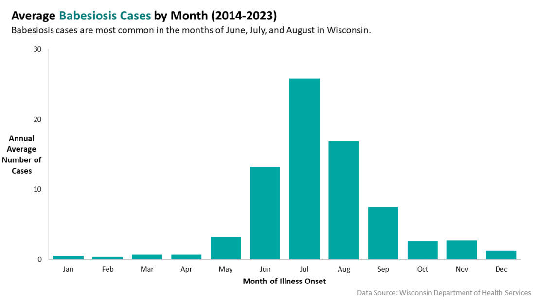 Average Babesiosis cases by month
