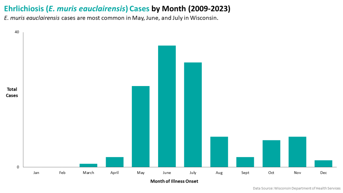 Ehrlichiosis cases by month