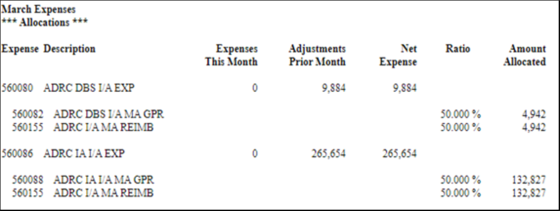 Screenshot of CARS 603 Report - Allocation