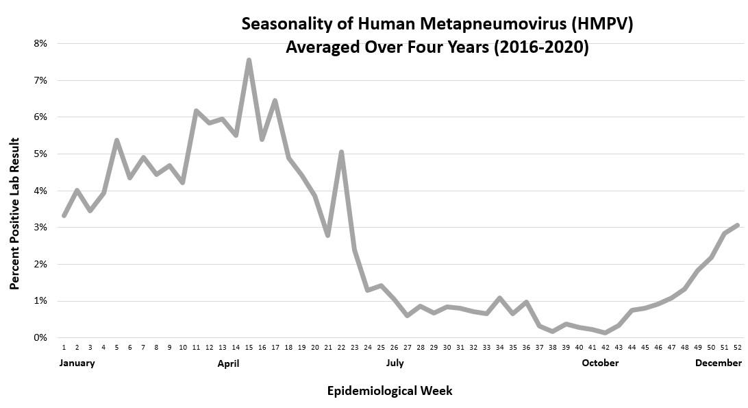 Graph show the seasonality of human metapneumovirus over the past four years